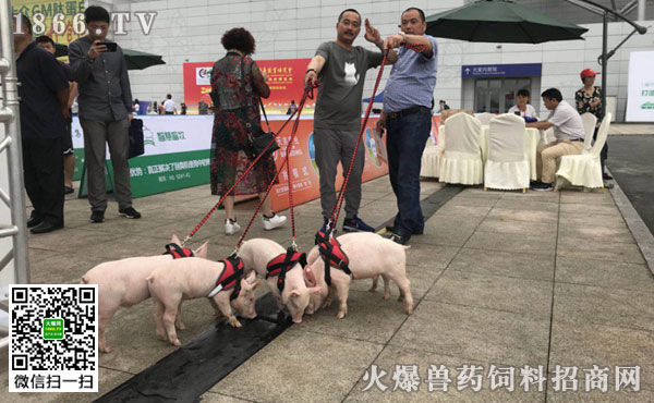 第十六届(2018)中国畜牧业博览会之奔跑吧!小
