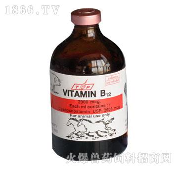 Vitamin B12-ݶ