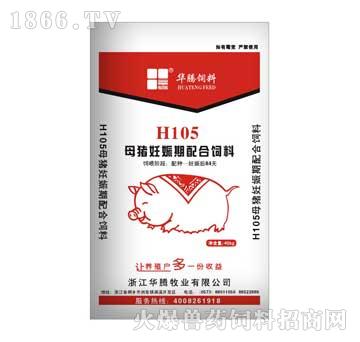 华腾-H105母猪妊娠