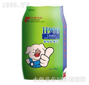 华腾-H900乳猪料