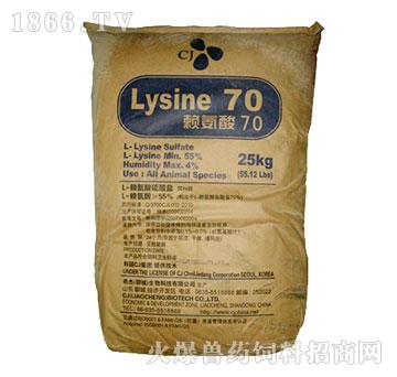 Lysine70-