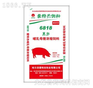 爱特杰-6818惠尔哺乳母猪浓缩饲料