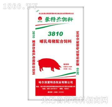 爱特杰-3810哺乳母猪配合饲料