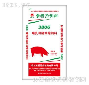爱特杰-3806哺乳母猪浓缩饲料