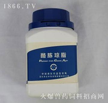 中海-酪胨琼脂培养基|北京中海生物科技有限公