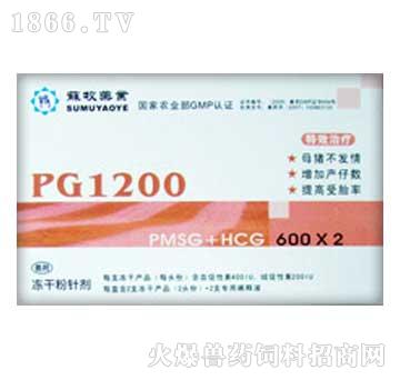 PG1200-Զ