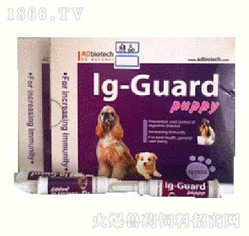 СڽIg-Guard puppy-ϰ