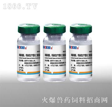 鸡新城疫、传染性支气管炎二联活疫苗H52