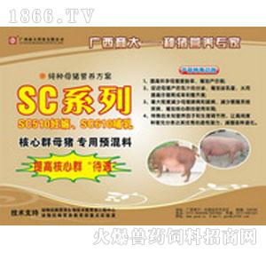 SC510、SC610纯种母猪预混料
